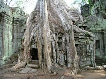 Cambodia-Angkor Wat-Dscf2789.jpg